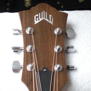 GUILD F-50 Standard