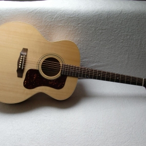 GUILD F-50 Standard