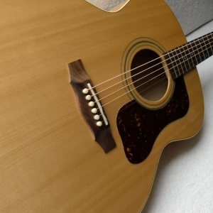 GUILD F-50 Standard