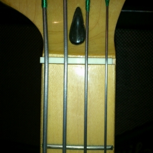 TCS Bass 50