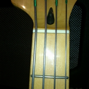 TCS Bass 54