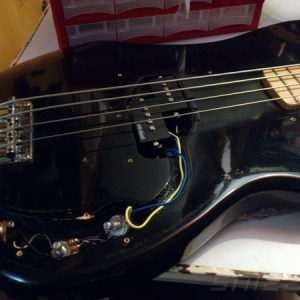 TCS Bass 52