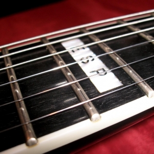 ESP Logo Fretboard