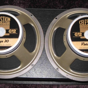 Celestion V30   1