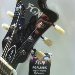 Kopfplatte der FGN Expert Flame FGFLMBK