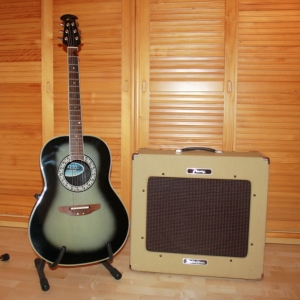 Peavey Delta Blues 115