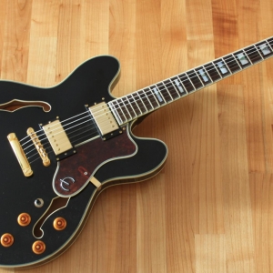 Epiphone Sheraton II