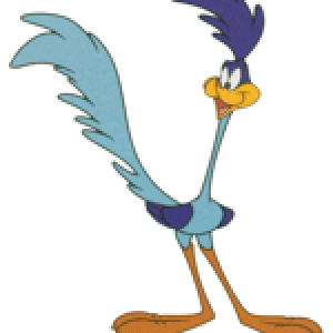 Roadrunner