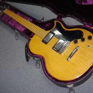 Gibson L6S 76