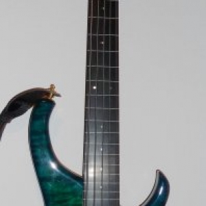 Modulus Fretless Bass

Das sind keine Bünde, sondern Linien auf dem Griffbrett. Sonst käm ich mit dem Ding wahrscheinlich gar nicht klar...