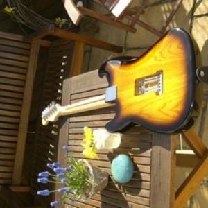 esche strat back 640x480