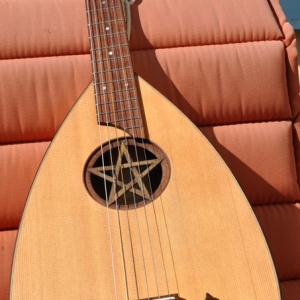 Gitarrenlaute