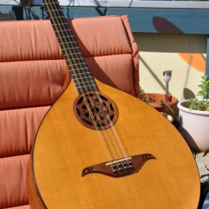 Irish Bouzouki