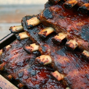 Ribs2