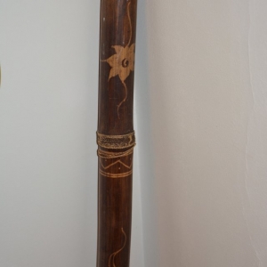 Didgeridoo