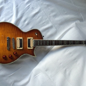 ESP LTD EC-1000-005