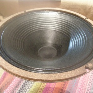 G12M Speaker2 Cone Reconed2