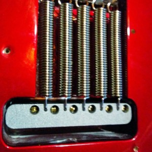 Raw Vintage Tremolo Springs