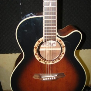 Takamine EF 508