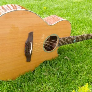 TAKAMINE TSF40