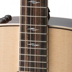 Taylor-810e-DLX-inlay-2017