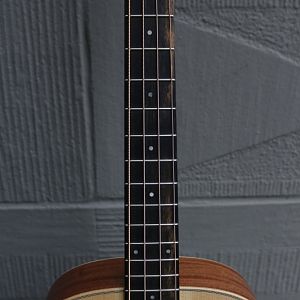 Taylor-gs-mini-e-bass08