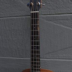 Taylor-gs-mini-e-bass09