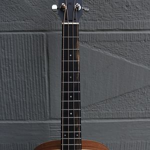 Taylor-gs-mini-e-bass10