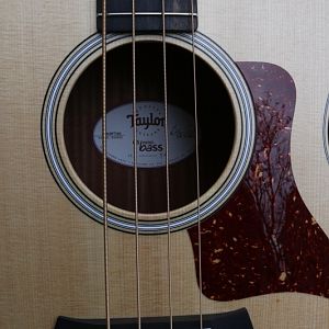 Taylor-gs-mini-e-bass22