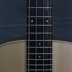 Taylor-gs-mini-e-bass31