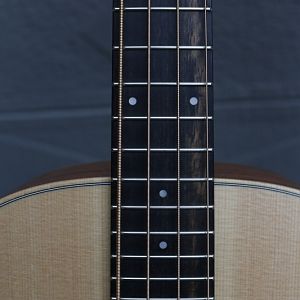 Taylor-gs-mini-e-bass32