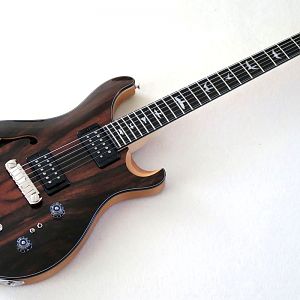 PRS SE Custom 22 Semi-Hollow