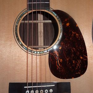 Schallloch-Pickguard-Steg