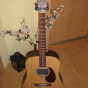 Martin DX1R mit Fishman Natural II Piezo