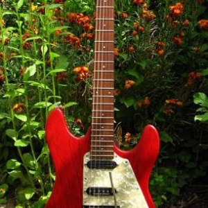 Framus Diablo Pro bei Sonnenschein im Garten.