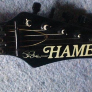 hamer head