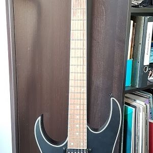 Ibanez 421