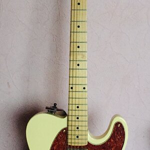 Tele blonde.jpeg