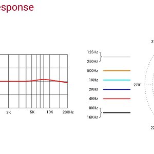 15 Frequenz- und Polardiagramm.jpg