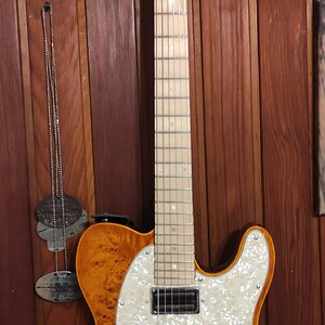 HH Telecaster