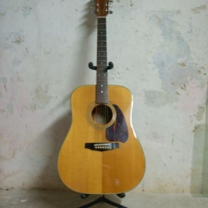 Ibanez V 300