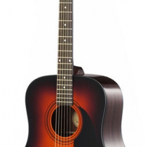 Fender Akustik