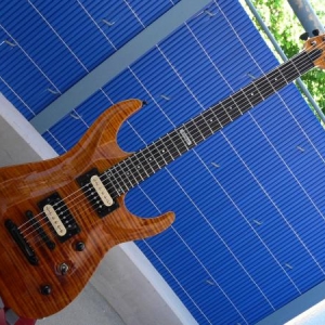 ESP Horizon  USA Custom