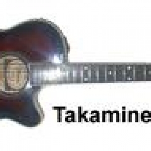 takamine sef 391