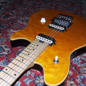 Peavey Wolfgang Special