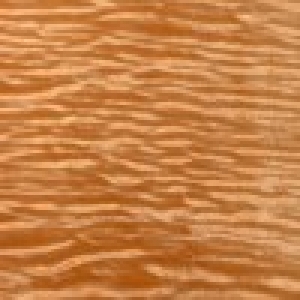 Curly Maple