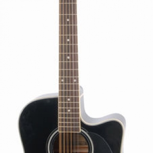 Harley Benton 12 String 2009