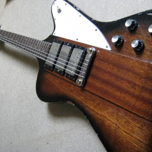 My Firebird 003