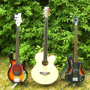 3 fretless basses