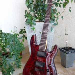 Schecter Damien Special